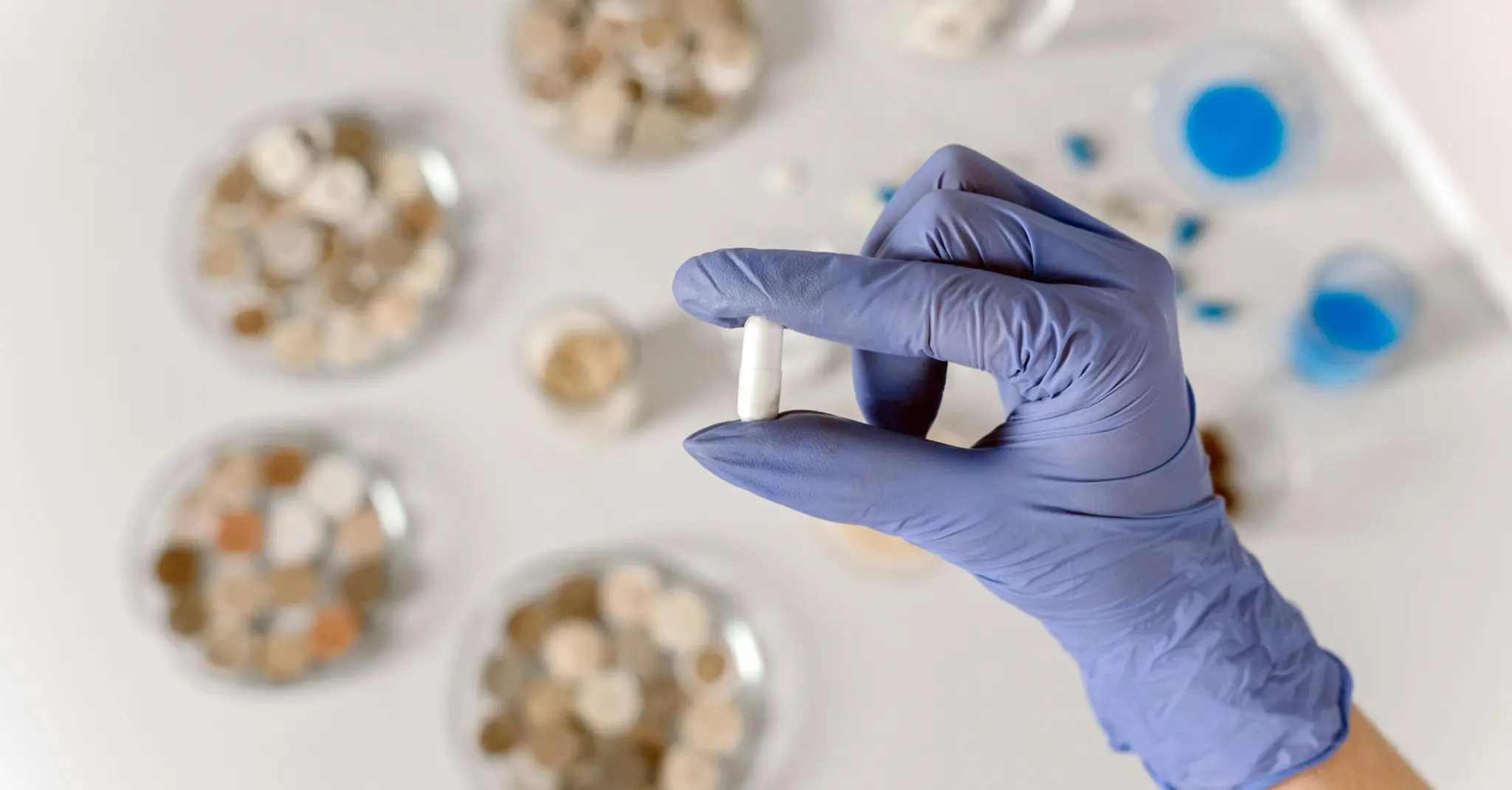 LMS for pharmaceutical industry GMP GCP training