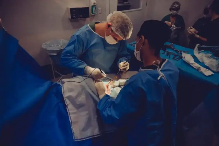 Medical Education LMS case study - AlphaLearn