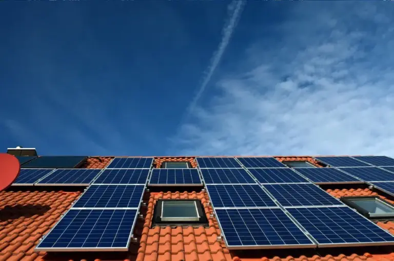 Energy LMS case study - AlphaLearn